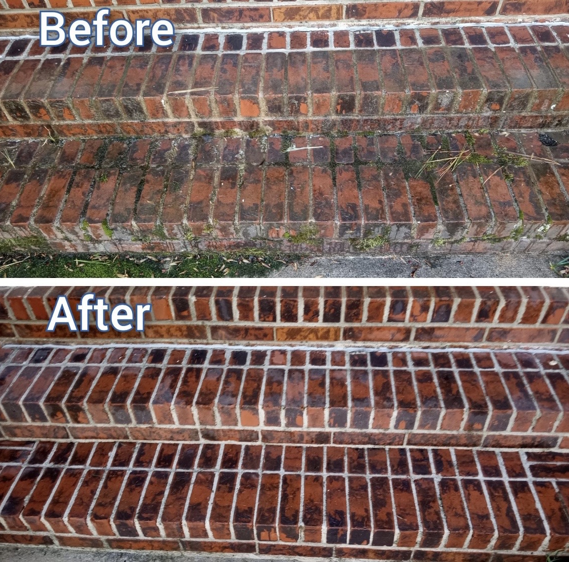 Comprehensive Surface Cleaning